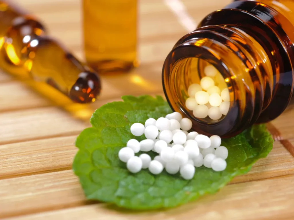Homeopatia e florais de Bach: terapias naturais para o equilíbrio emocional dos pets