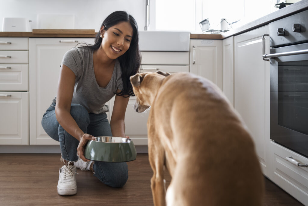 Alimentação natural para cães e gatos: vale a pena?